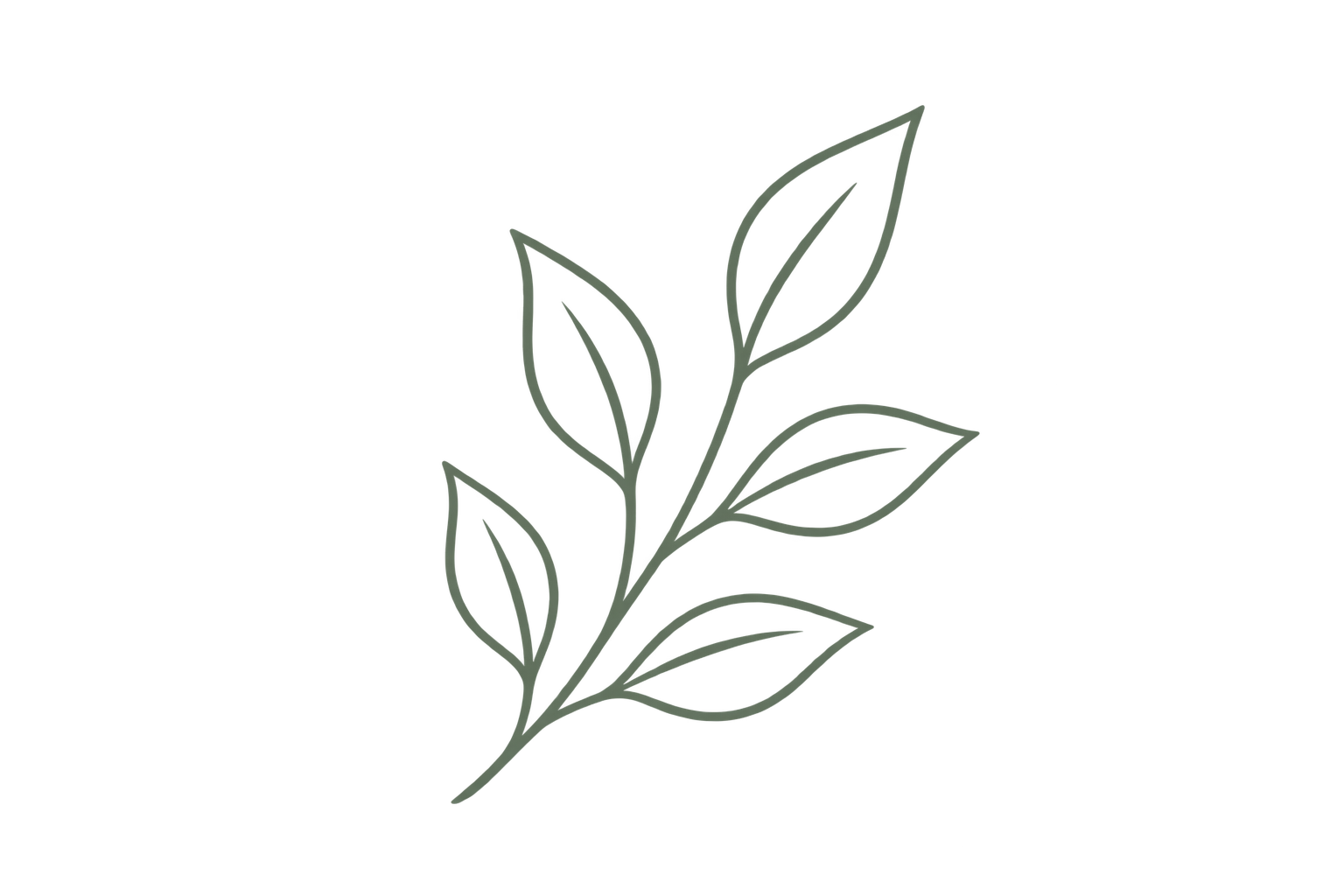 Leaf decoration